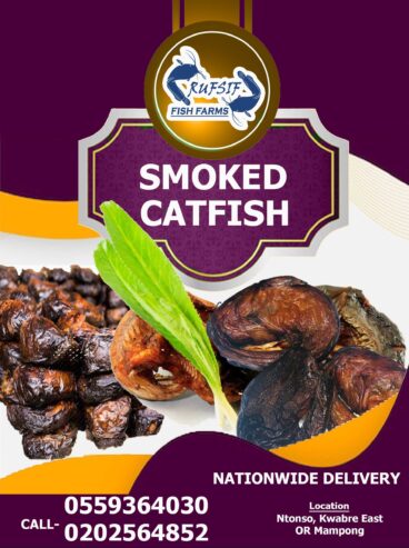 Smoked Catfish Available for sale